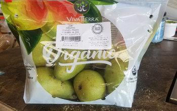 Pear - Anjou Green